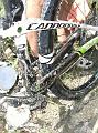 LIGURIAMTB13 (421)